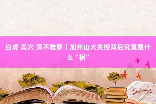 白虎 美穴 深不雅察丨加州山火失控背后究竟是什么“祸”