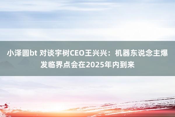 小泽圆bt 对谈宇树CEO王兴兴：机器东说念主爆发临界点会在2025年内到来