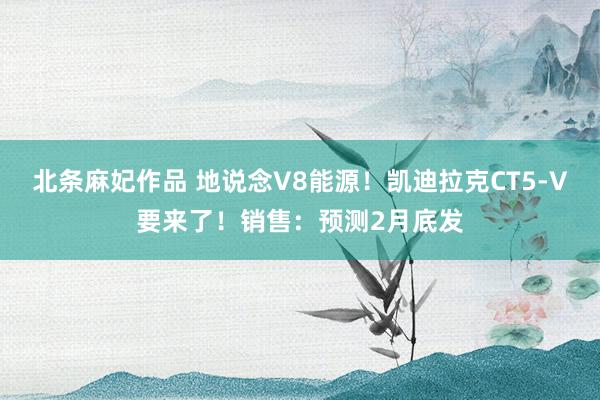 北条麻妃作品 地说念V8能源！凯迪拉克CT5-V要来了！销售：预测2月底发