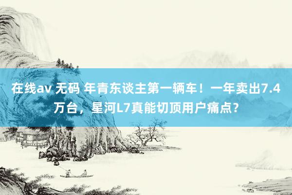 在线av 无码 年青东谈主第一辆车！一年卖出7.4万台，星河L7真能切顶用户痛点？