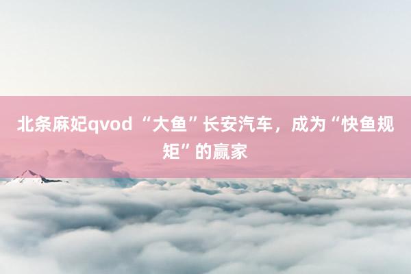 北条麻妃qvod “大鱼”长安汽车，成为“快鱼规矩”的赢家