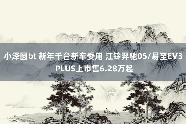 小泽圆bt 新年千台新车委用 江铃羿驰05/易至EV3 PLUS上市售6.28万起