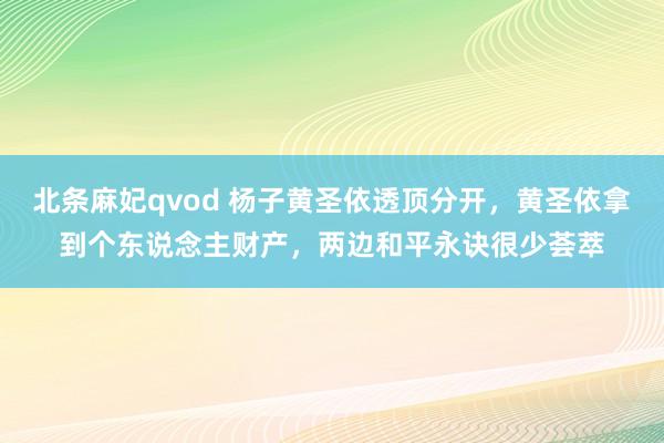 北条麻妃qvod 杨子黄圣依透顶分开，黄圣依拿到个东说念主财产，两边和平永诀很少荟萃