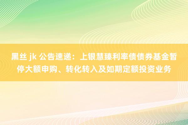 黑丝 jk 公告速递：上银慧臻利率债债券基金暂停大额申购、转化转入及如期定额投资业务