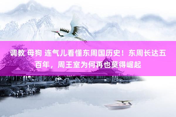 调教 母狗 连气儿看懂东周国历史！东周长达五百年，周王室为何再也莫得崛起